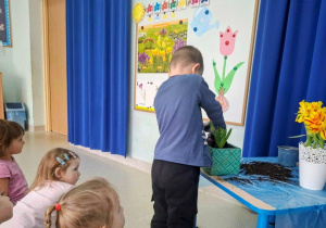 Chłopiec wsadza roślinę do doniczki.