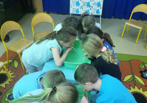 Przedszkolaki wpuszczają powietrze pod wodę z użyciem słomki.