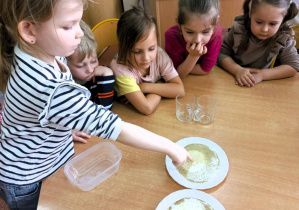 Dziewczxynka wykonuje doświadczenie z uciekającym pieprzem