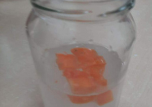 Eksperyment z marchewką:pływa czy tonie?