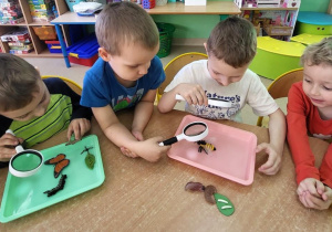 Chłopcy obserwują przez lupy modele owadów i roślin.