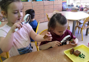 Dziewczynki obserwują przez lupy modele owadów i roślin.