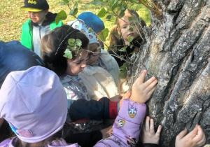 Dzieci dotykają kory drzewa.