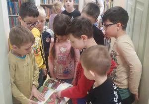 Żabki oglądaja wybrane książeczki