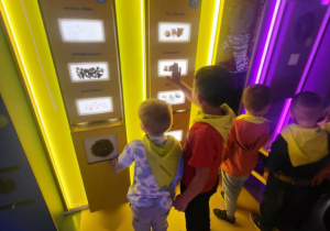 Tunel sensoryczny