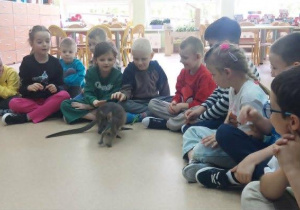 Kangurek wśród dzieci