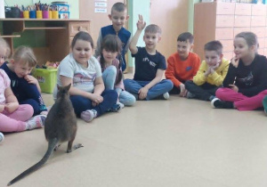 Dzieci oglądają kangurka