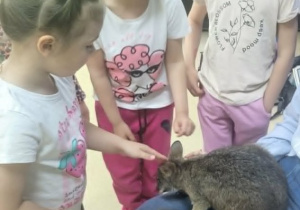 Dziewczynki głaszcza kangurka