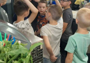 Uczymy się robić lemoniadę