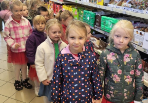 Motylki na zakupach w sklepie.