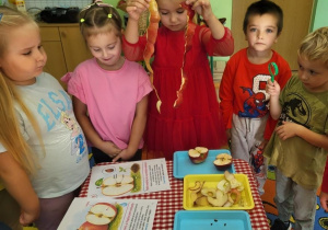 Dzieci prowadzą obserwację jabłek.