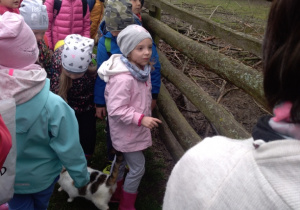 Dzieci obserwują zwierzęta.