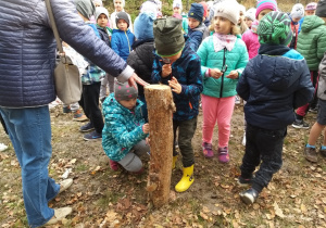 Dzieci oglądają pień drzewa przez lupki.